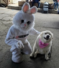 Oliver And Easter Bunny