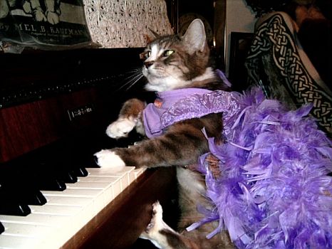Liberace doesn't have anything on me!