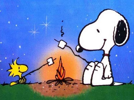WOODSTOCK AND SNOOPY-CAMPING