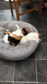 No room for the little one