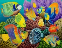 Reef Angels by Carolyn Steele