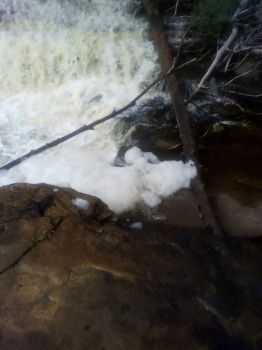 Foam from the Lower Tahquamenon Falls