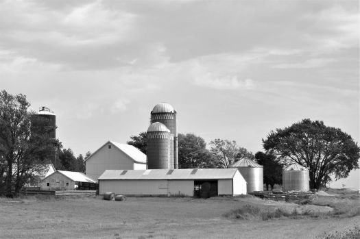 Iowa farm 6 b&w