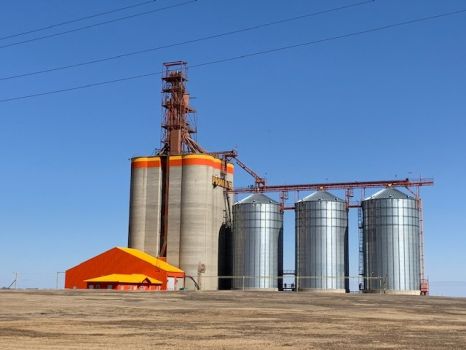 Grain Terminal