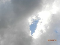 wolk