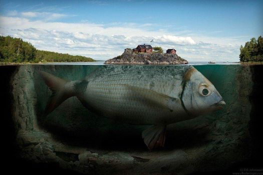5-Mind-Blowing-Photo-Retouch-Fishy-Island