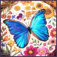 Butterfly Thread Paintings (Larger)