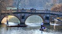 Punting in February