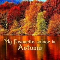 My Favorite Colour Is Autumn