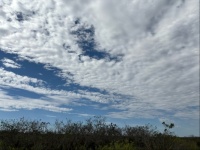 Skies Over the Everglades 2/4/24
