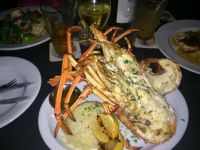 Caribbean lobster. 3 lbs  Shawn Swenson