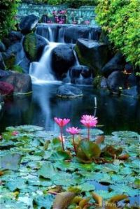 Lotus Blossom Waterfall, Bali