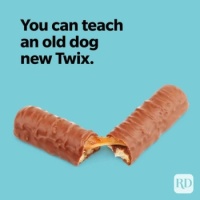 candy-puns-old-dog-new-twix