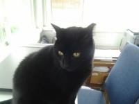My Dear Buddy