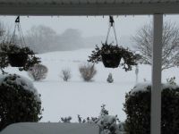 Snow Fall December 15 2017-3