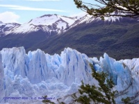 ARGENTINA - El Calafate - Perito Moreno