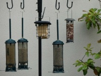 The birds' restaurants in my friend's garden