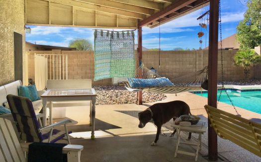 Mikie on sunny back porch 5-2020