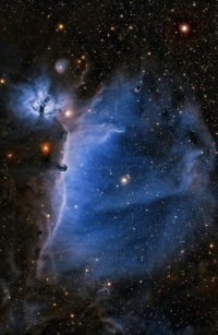 Horse Head Nebula