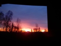 IMG_20231026_084507