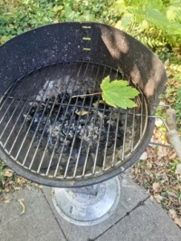 Vegetarier-Grill