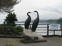 Port Angeles Washington Cormorant Statue