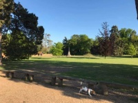 60665092_10156815128430100_2473674886438977536_n