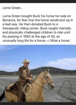 Lorne Green's horse