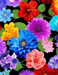 FLOWERS FOR YOU !!