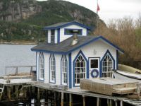 Kayak Rentals