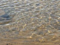 Þingvellir shore ripples