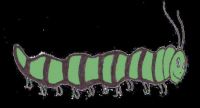 caterpillar green - small