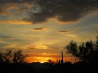 january Desert Sunset