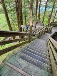 IMG-0697