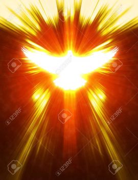 -shining-dove-with-rays-on-a-dark-golden-background