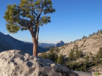 View from Olmstead Point