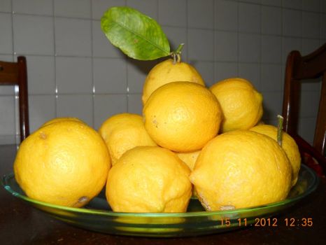 Lemons from Geoff's tree