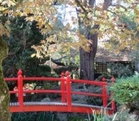 Bridge in Japanese garden