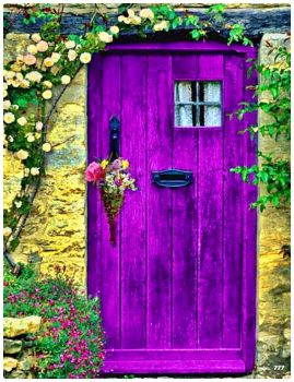 3 of 13 DOOR THEME:  Deep Purple Door with Lavender and Roses