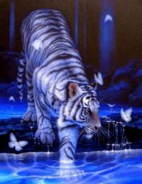 white tiger