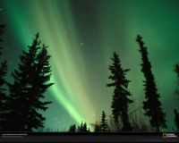 Northern Lights