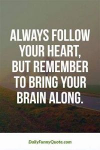 Always follow your heart, but remember to bring your brain along