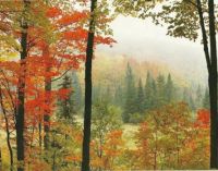Fall Scene in Ontario