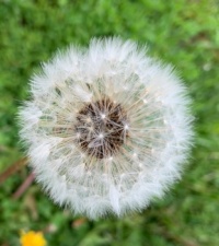 Signs of summer