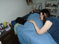 My Two Kittens, Sweetie-Pie and Grace (the Christmas Elf)