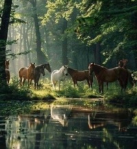 Horses