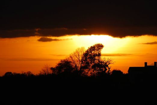 The Fens at sunset