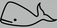 grey whale