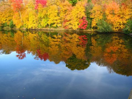 Fall in Chippewa County, Wisconsin
