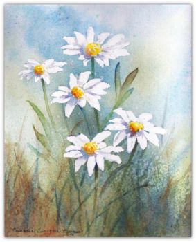 Field Daisies by Stephanie Meegan